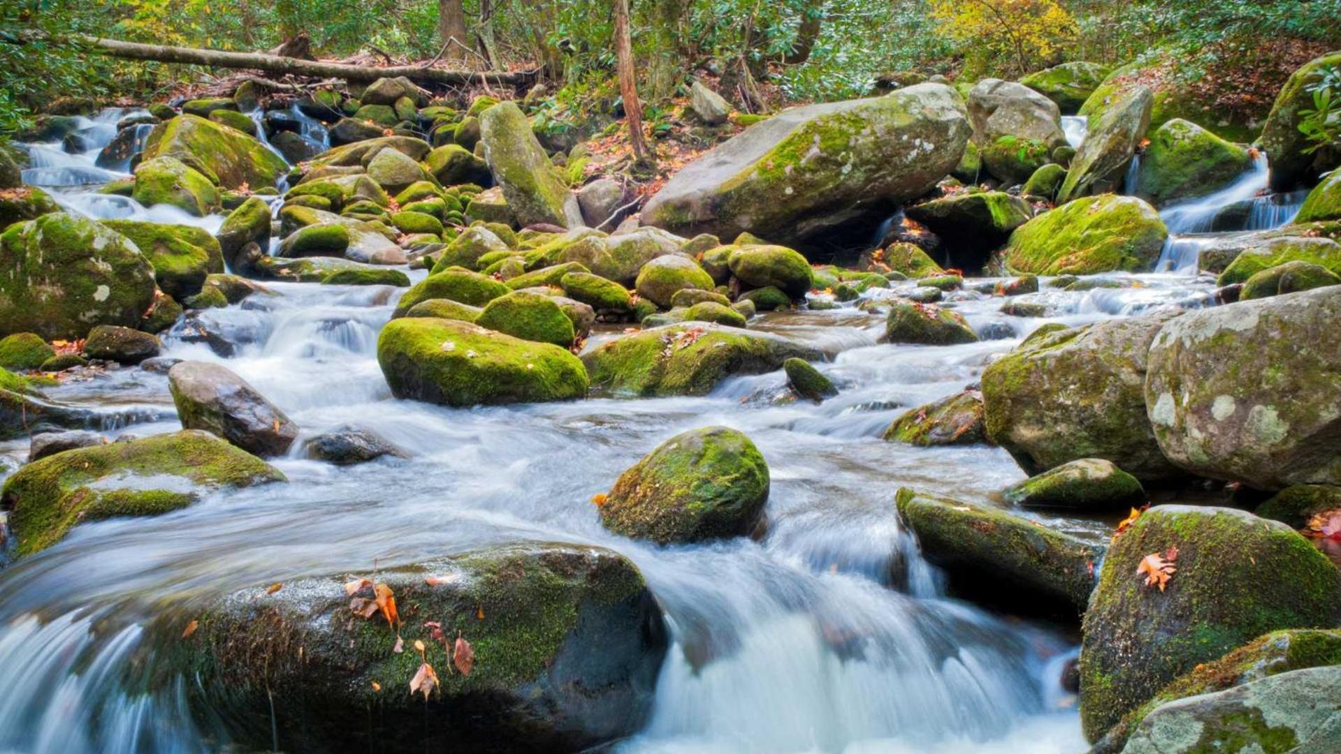 Little Smoky Retreat , 3 Bedroom , Close To Downtown Gatlinburg And Pigeon Forge Zewnętrze zdjęcie